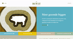 Desktop Screenshot of bivit.com